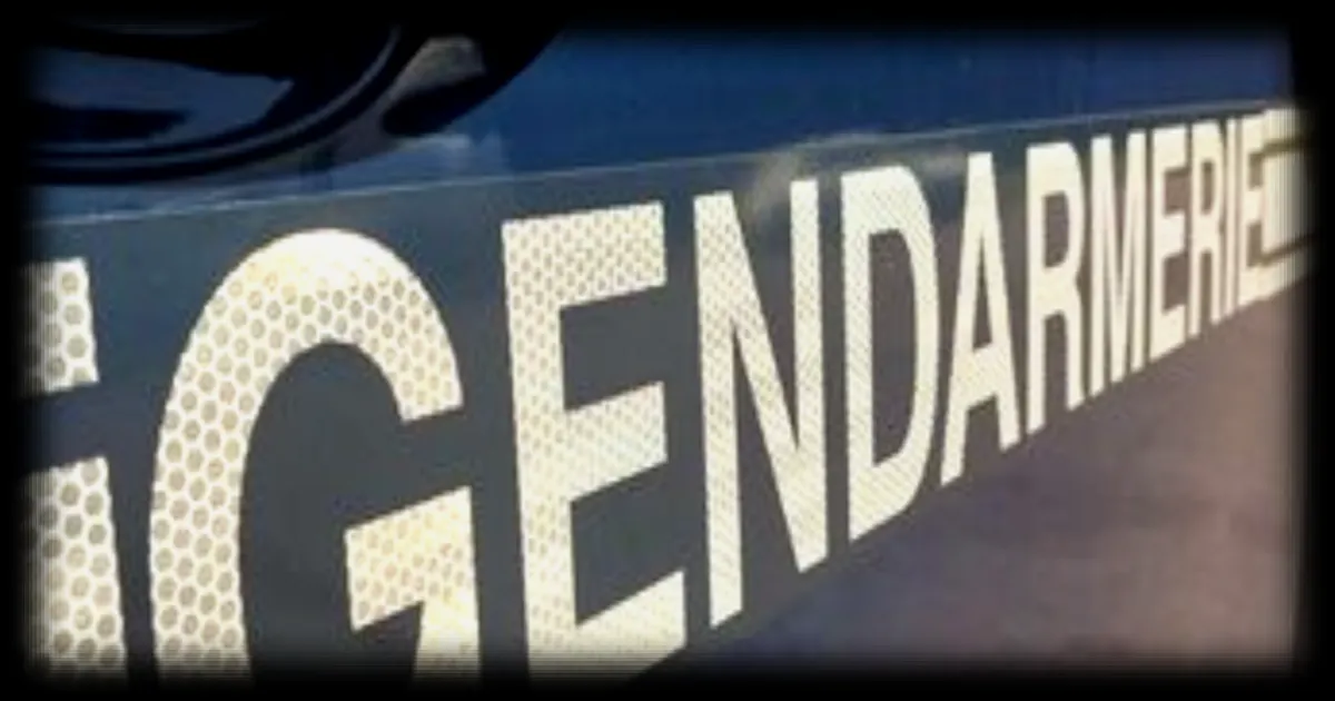 Interpellation en Moselle suite à un vol de carburant : un homme de 39 ans placé en garde à vue