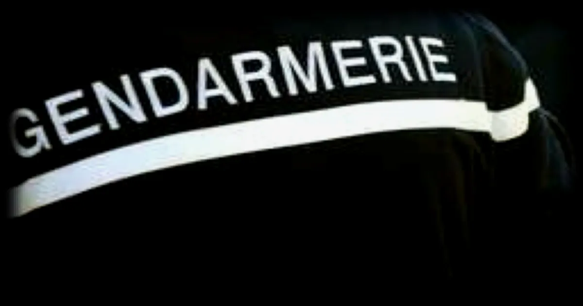 Interpellations pour vols en bande organisée : onze personnes mises en cause