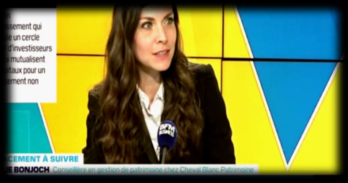 Investir dans l'art via les clubs deals : l'art comme valeur refuge selon BFM Business