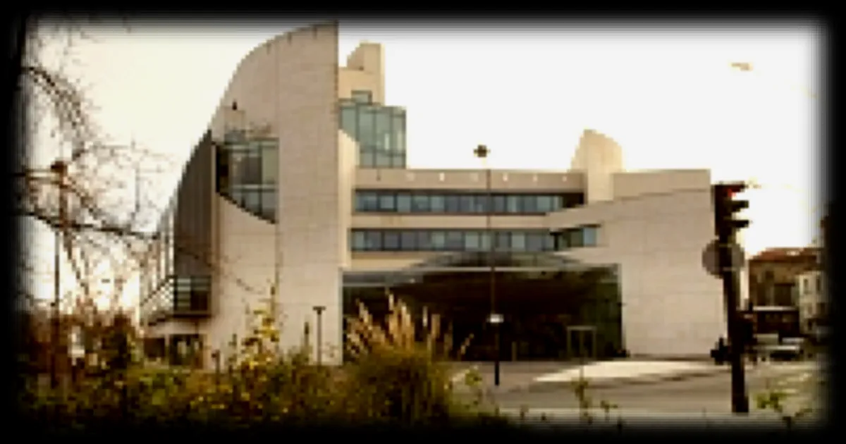 Ipsos annonce une croissance organique en 2026 et un dividende en hausse