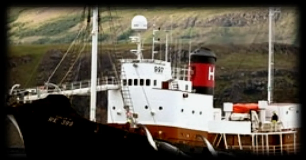 Islande : la police islandaise demande l’expulsion de 21 militants anti-chasse à la baleine