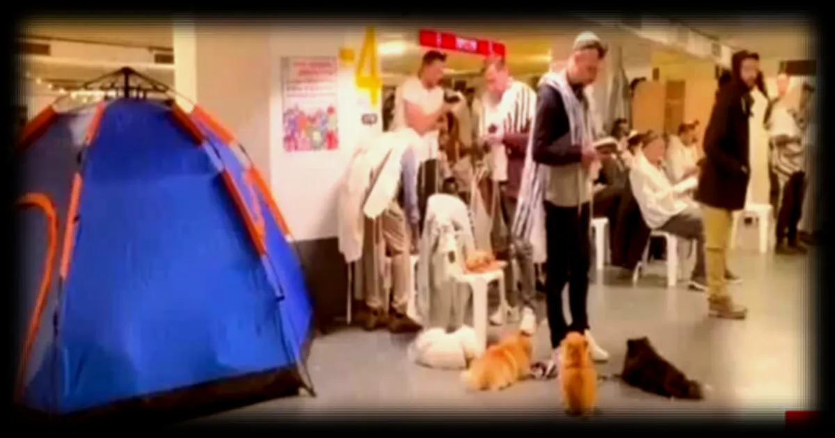 Israël transfère ses hôpitaux en sous-sol pour protéger les patients des attaques de missiles