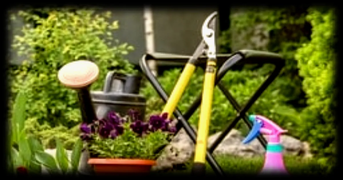 Jardin après la canicule : quels gestes adopter pour sauver ses haies et plantes en pot ?