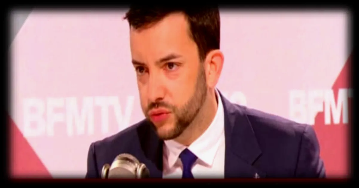 Jean-Philippe Tanguy (RN) salue la mobilisation contre la pédocriminalité après l’interpellation en direct d’un suspect