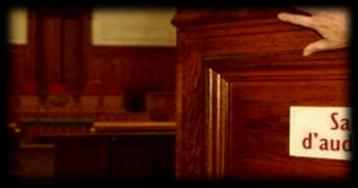 Julien Bert, candidat de téléréalité, condamné à un an de bracelet électronique pour violences conjugales