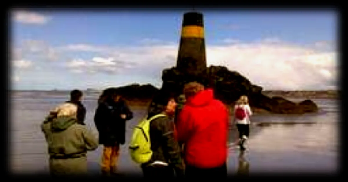 La baie de Saint-Brieuc : la plus grande réserve naturelle de Bretagne accueille jusqu'à 30 000 oiseaux en hiver