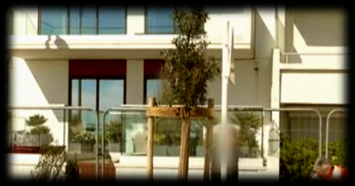 La Baule : polémique autour de la plantation de 700 arbres en bord de mer