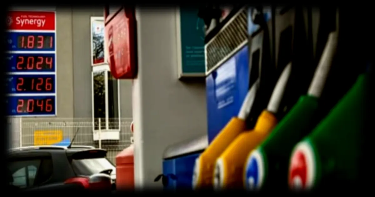 La BCE appelle les pays membres de l'UE à accélérer leur transition énergétique pour contrôler les prix