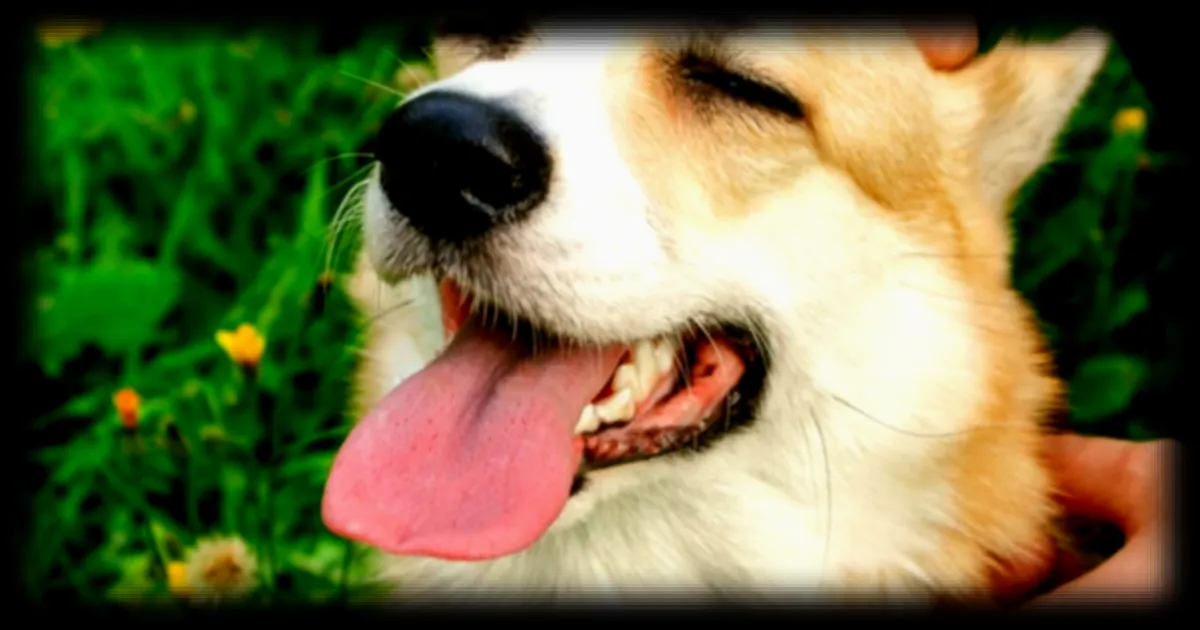 La CAF met en place un espace de fact-checking pour contrer les fausses informations sur les aides sociales