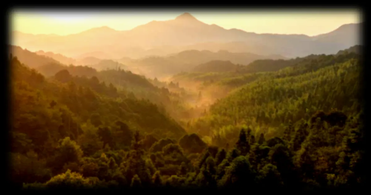 La Chine transforme le désert du Taklamakan en puits de carbone : une prouesse environnementale aux enjeux hydriques