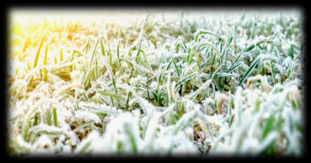 La chute des températures attendue cette semaine : jusqu'à 10 °C de baisse