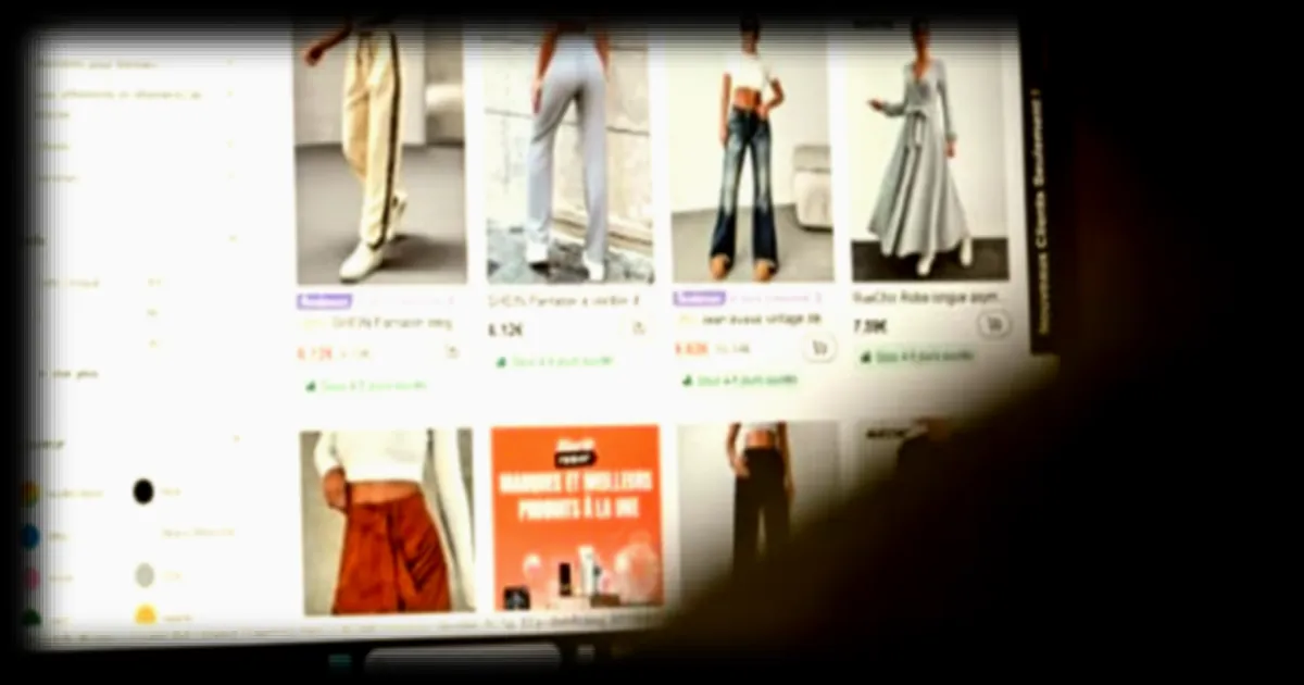 La cour d'appel de Paris rejette la demande de suspension de la marketplace de Shein par l'Etat