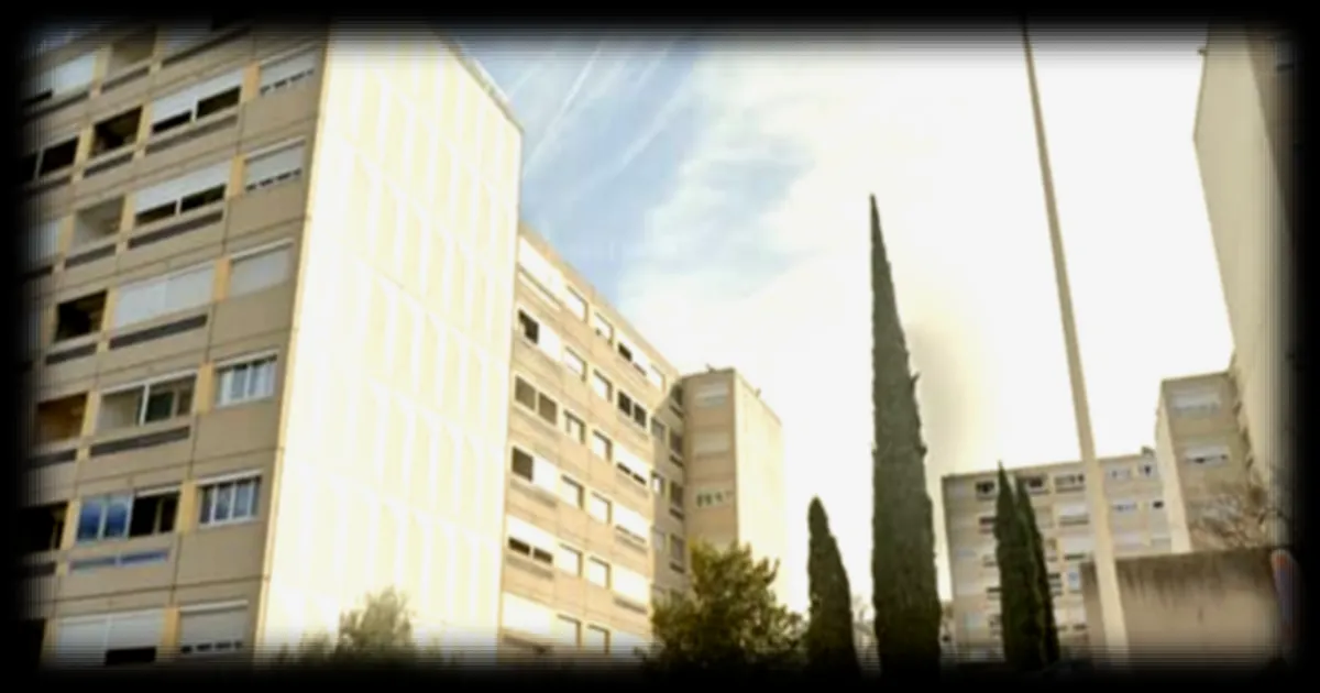 La crise du logement : pourquoi les maires ne construisent-ils pas davantage de logements sociaux ?