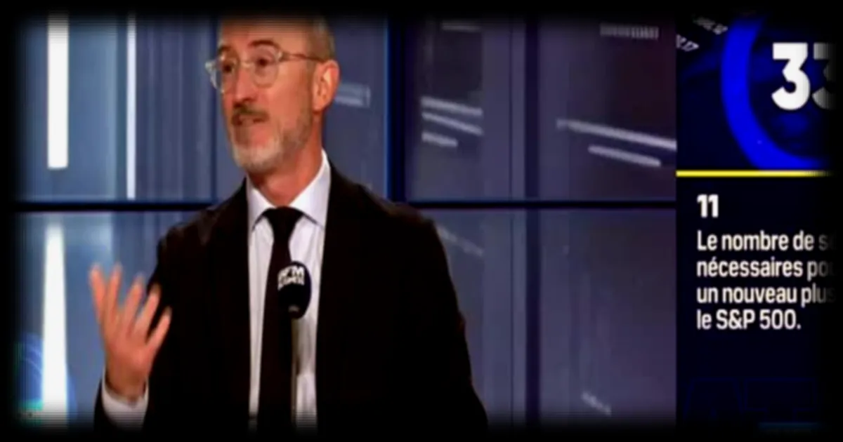 La Data Room : 29 modèles d'autocollants anti-Elon Musk vendus par MadPufferStickers