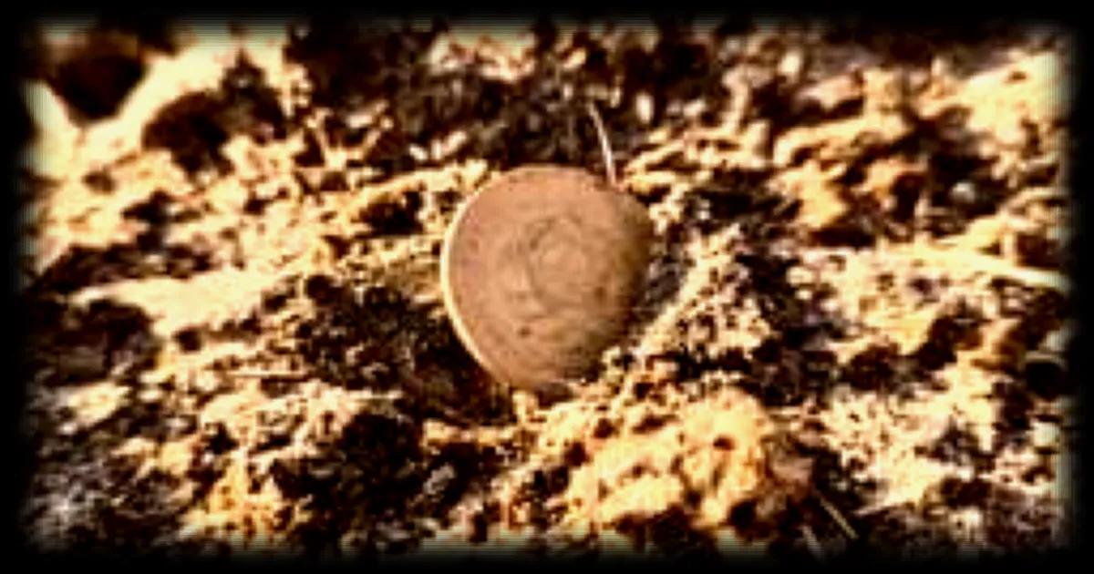 La découverte du trésor caché d'un ermite mystérieux dans les montagnes