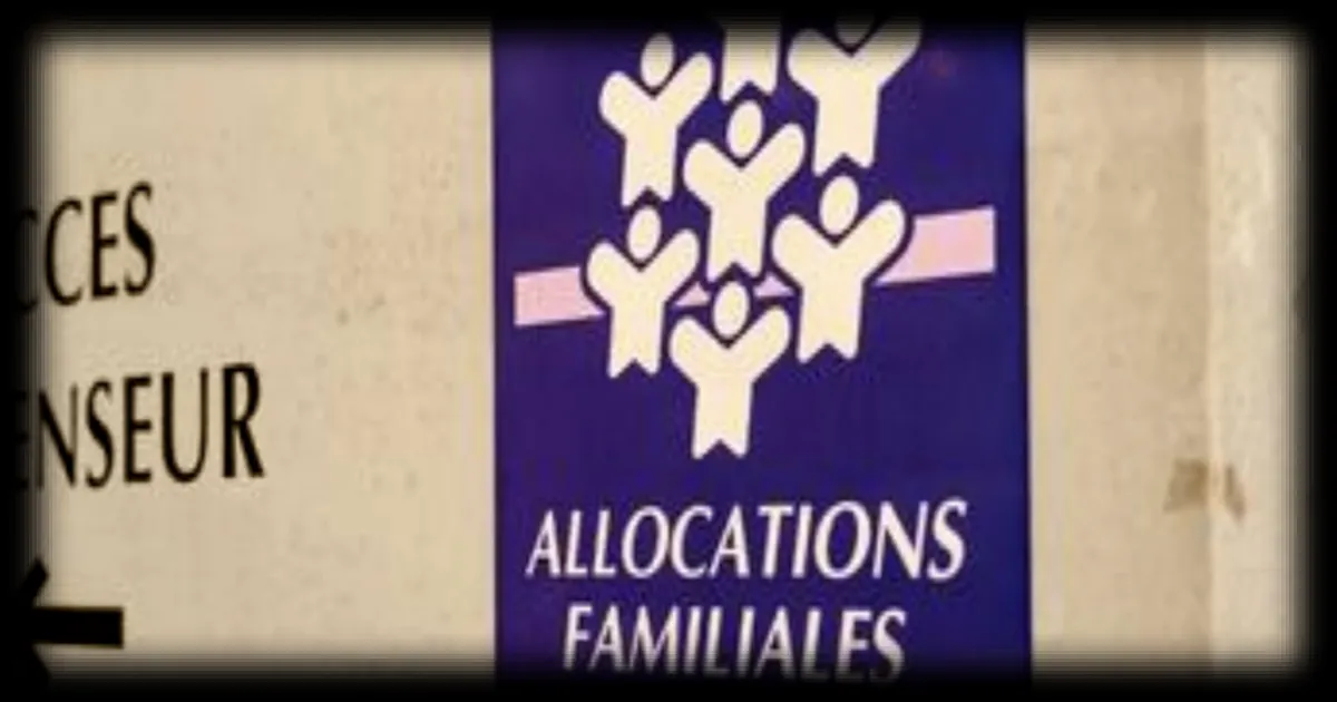 La Défenseure des droits alerte sur les risques d'atteinte aux droits dans la lutte contre la fraude sociale