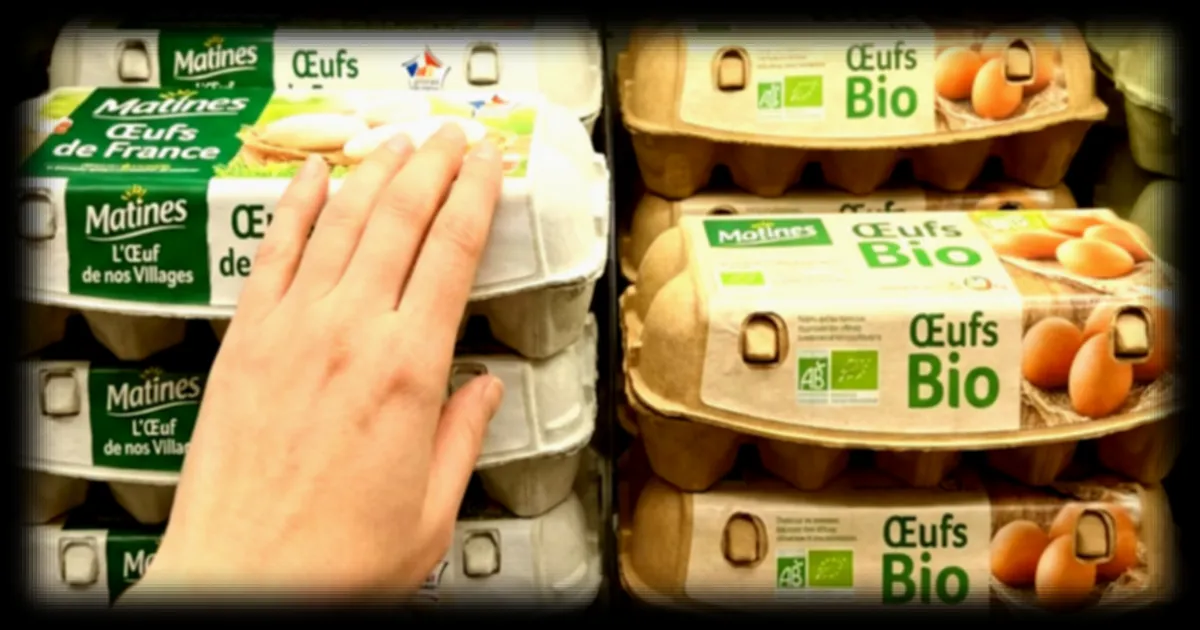 La différence entre les œufs blancs et les œufs marron