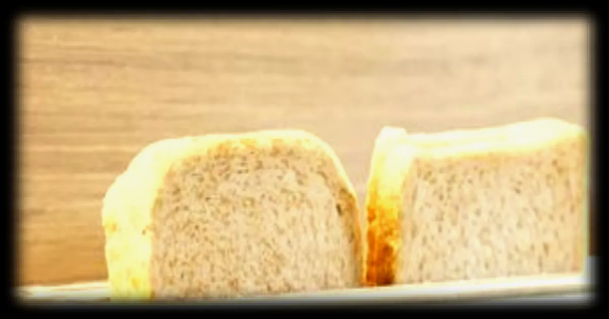 La face cachée du pain de mie : décryptage des fibres, sucres et farines