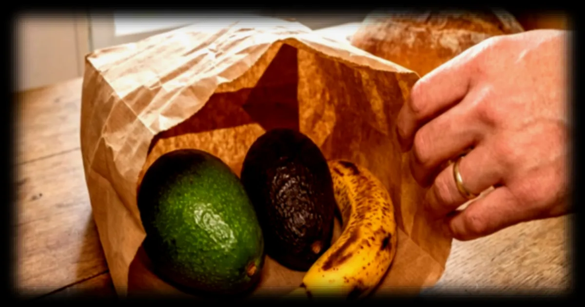 La façon la plus simple de faire mûrir un avocat en un temps record