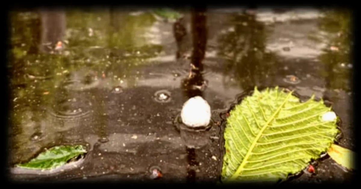 La facture des sinistres climatiques en France atteint un record de 5,2 milliards d'euros en 2025