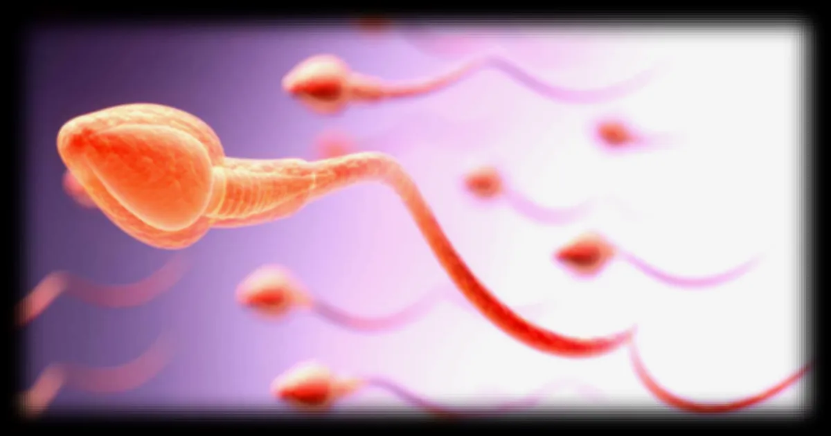 La fertilité masculine varie au fil des saisons : ce que révèle une grande étude internationale