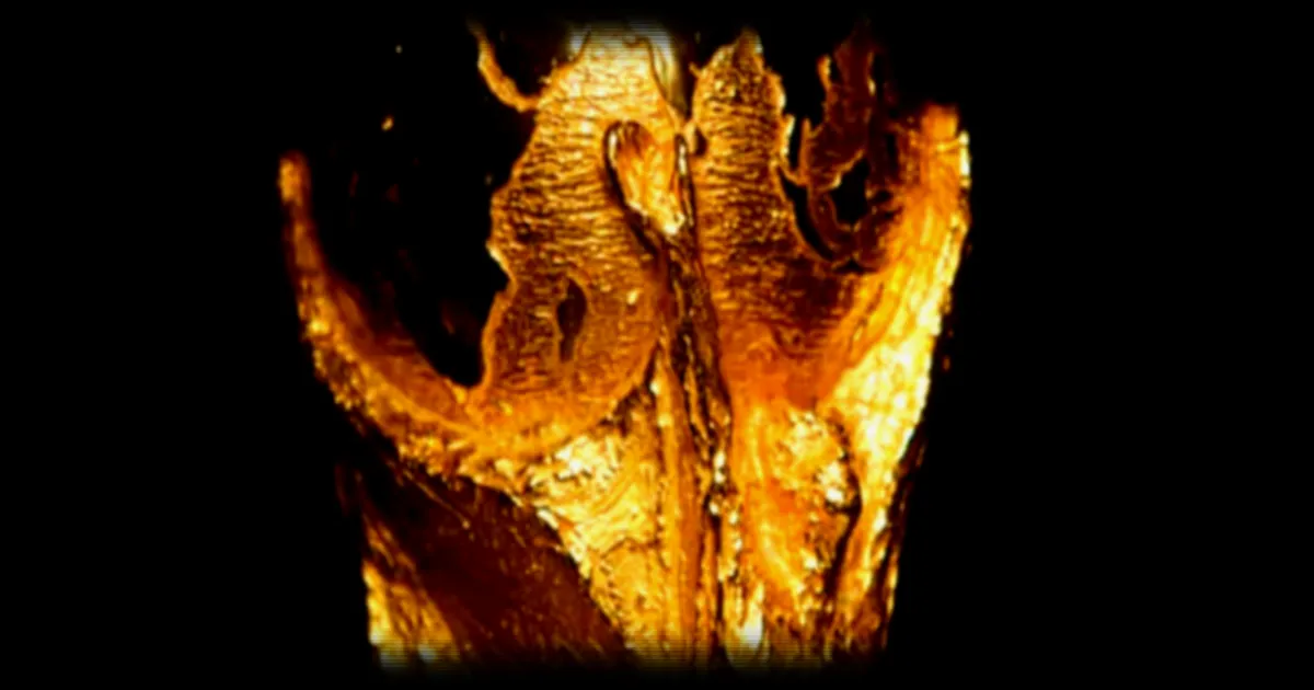 La Fifa annonce une augmentation du prize money pour la Coupe du monde 2026