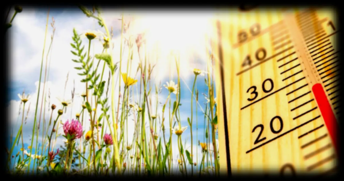 La France connait une période de douceur exceptionnelle depuis plus de 50 jours, avec des températures bien au-dessus des normales saisonnières