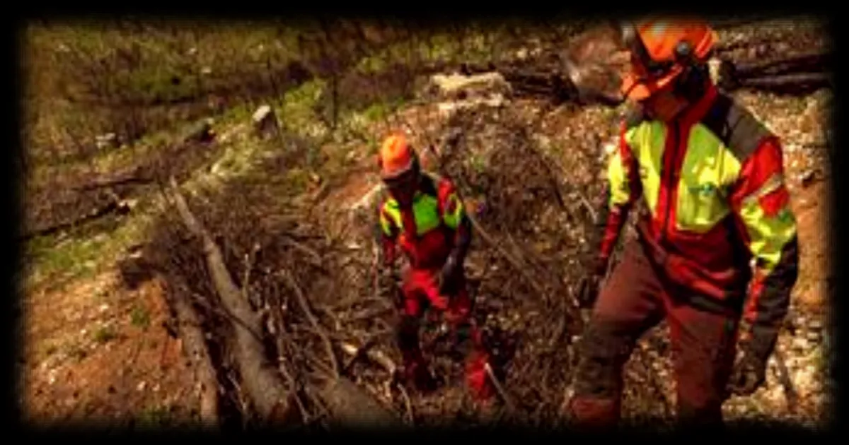 La France face à un risque élevé de feux de forêts : les départements concernés et les mesures de vigilance