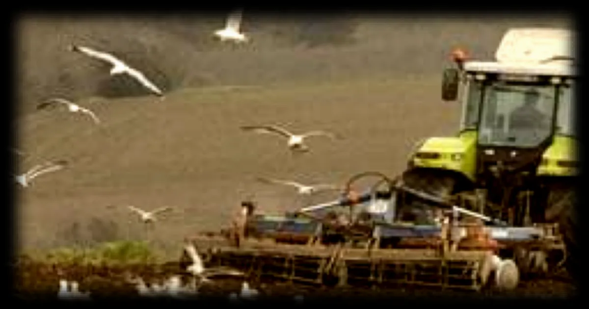 La France met en place des mesures de soutien à l'agriculture face à la hausse du prix de gazole et des engrais