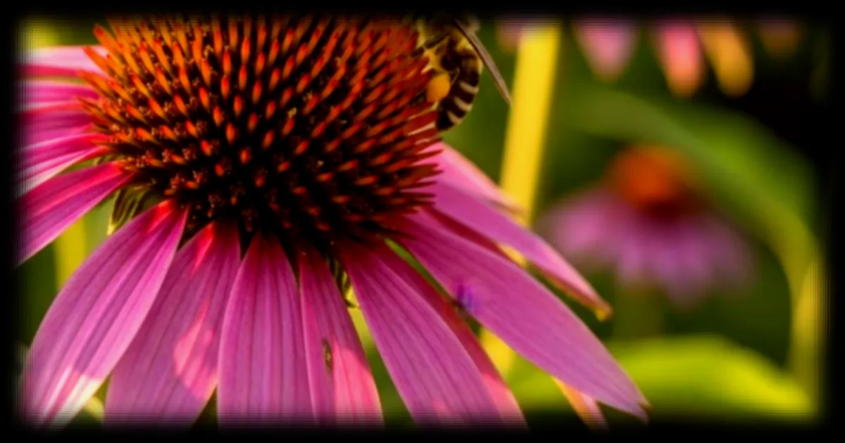 La Journée mondiale de la vie sauvage 2026 met en lumière l'importance des plantes médicinales pour la recherche médicale