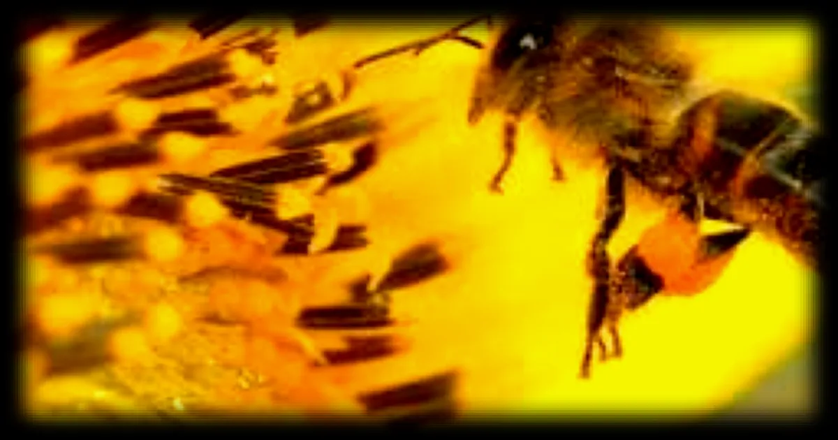 La Journee Mondiale des Abeilles: Connaissez-vous bien ces Insectes Essentiels?