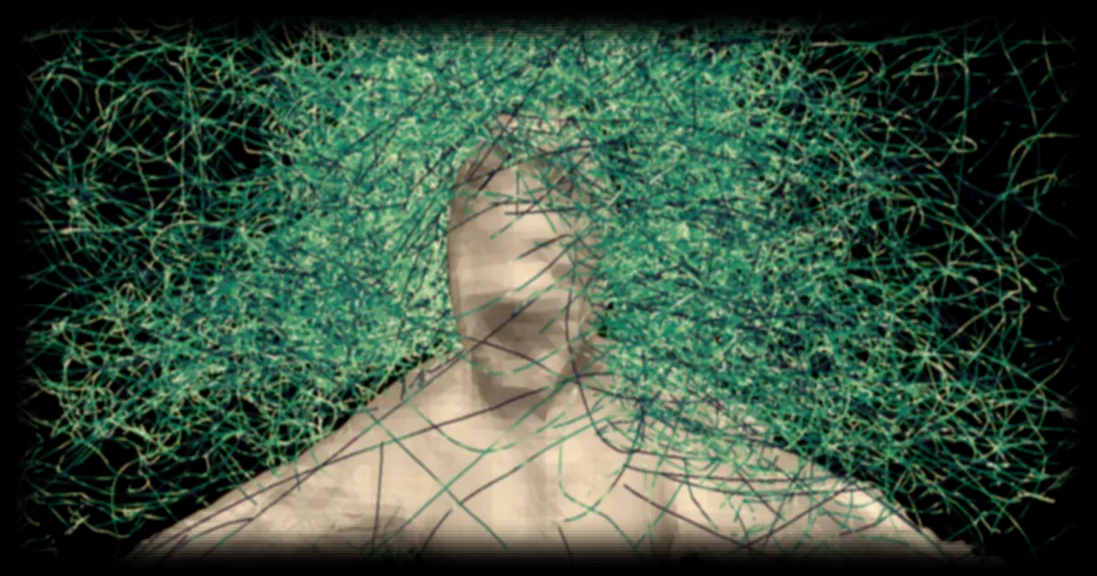 La mécanique du vol des moustiques décryptée grâce à des expériences inédites