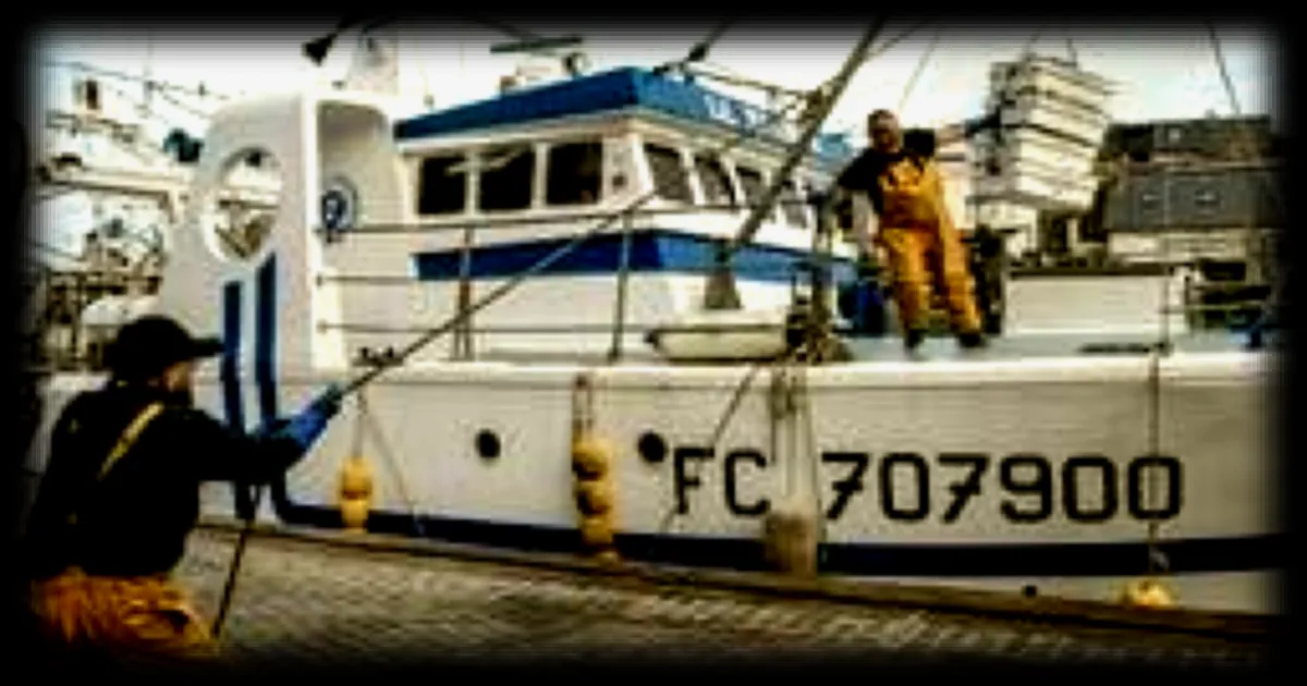 La pêche en France : moins de la moitié des poissons débarqués proviennent de pratiques durables