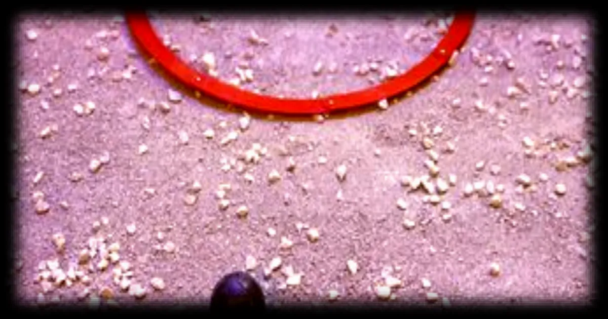 La pétanque en quête de sponsors malgré sa popularité croissante en France