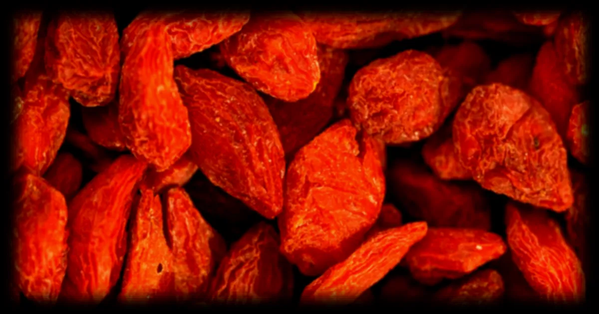 La plante de la semaine : les baies de goji dans votre jardin