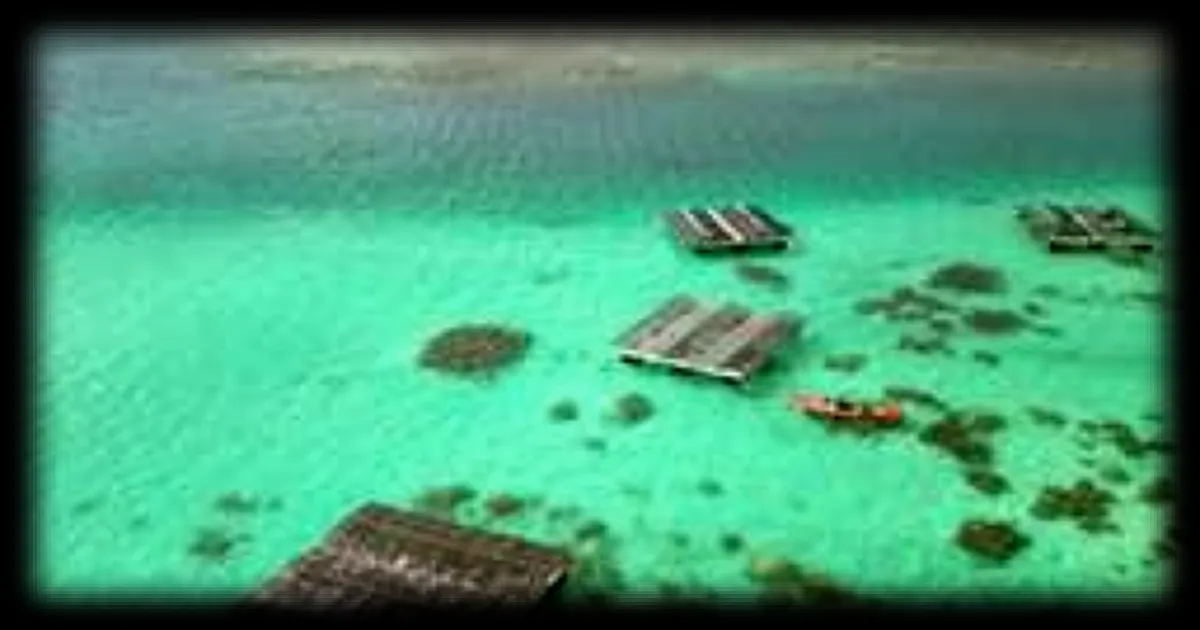 La Polynésie française se tourne vers le solaire flottant pour protéger les coraux et produire de l’énergie