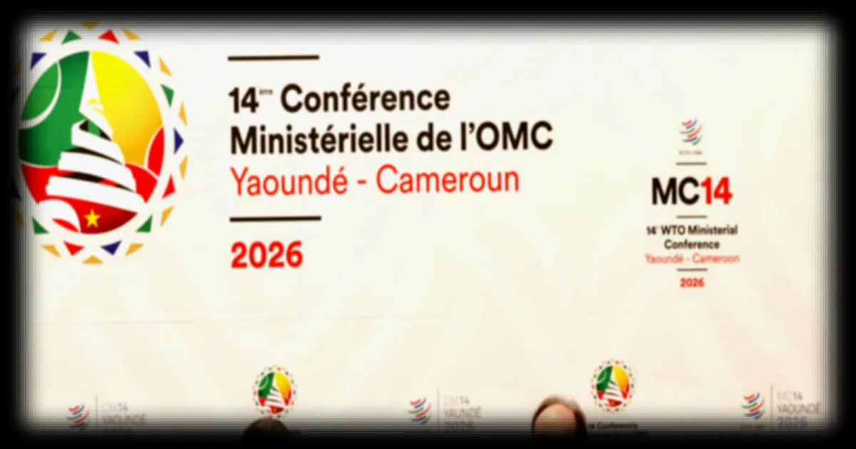La réunion ministérielle de l’OMC à Yaoundé se conclut sans accord sur une réforme