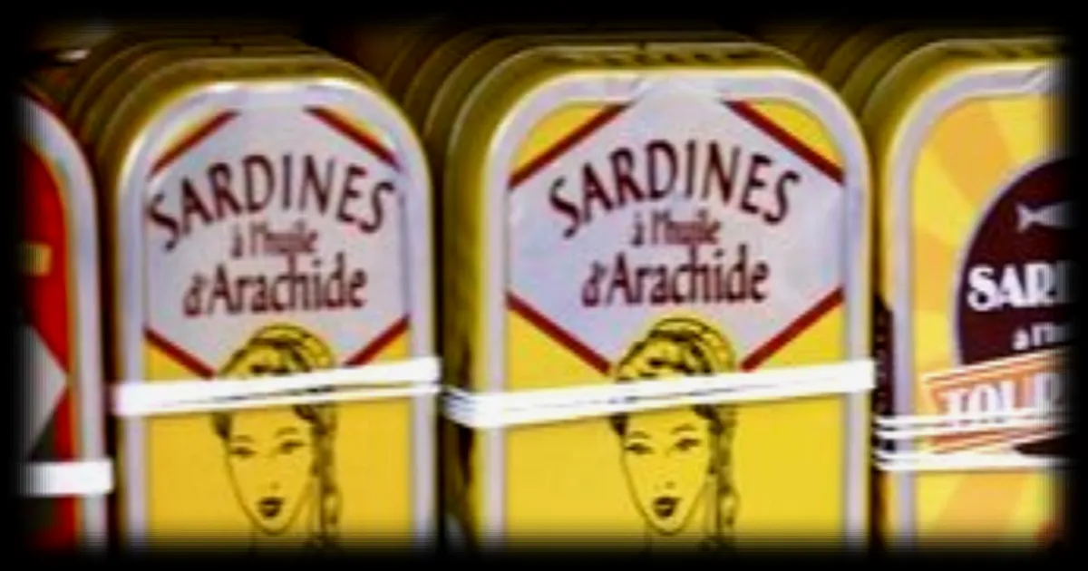 La sardine en boîte, nouvelle coqueluche des consommateurs, menace de devenir une denrée rare