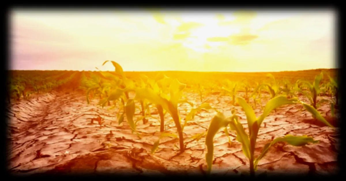 La sécheresse menace la France : les conditions météo actuelles et les prévisions