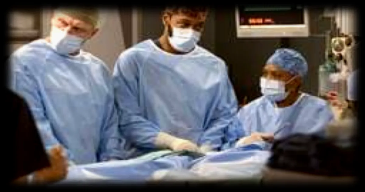 La série 'Grey's Anatomy' revient pour une 22e saison et confirme son succès mondial