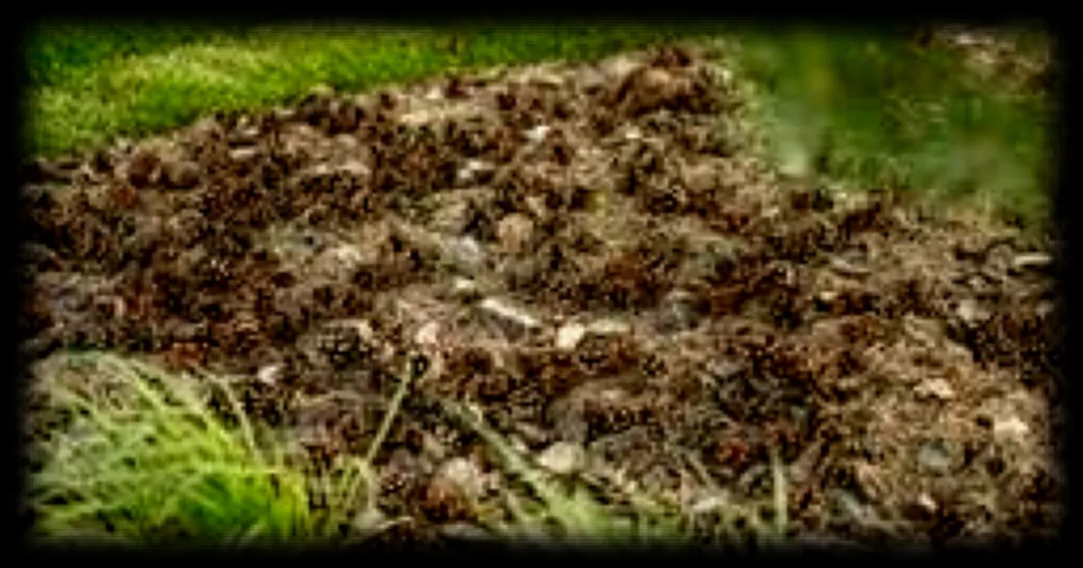 La technique de la pomme de pin pour savoir si votre plante a soif : une astuce efficace ?