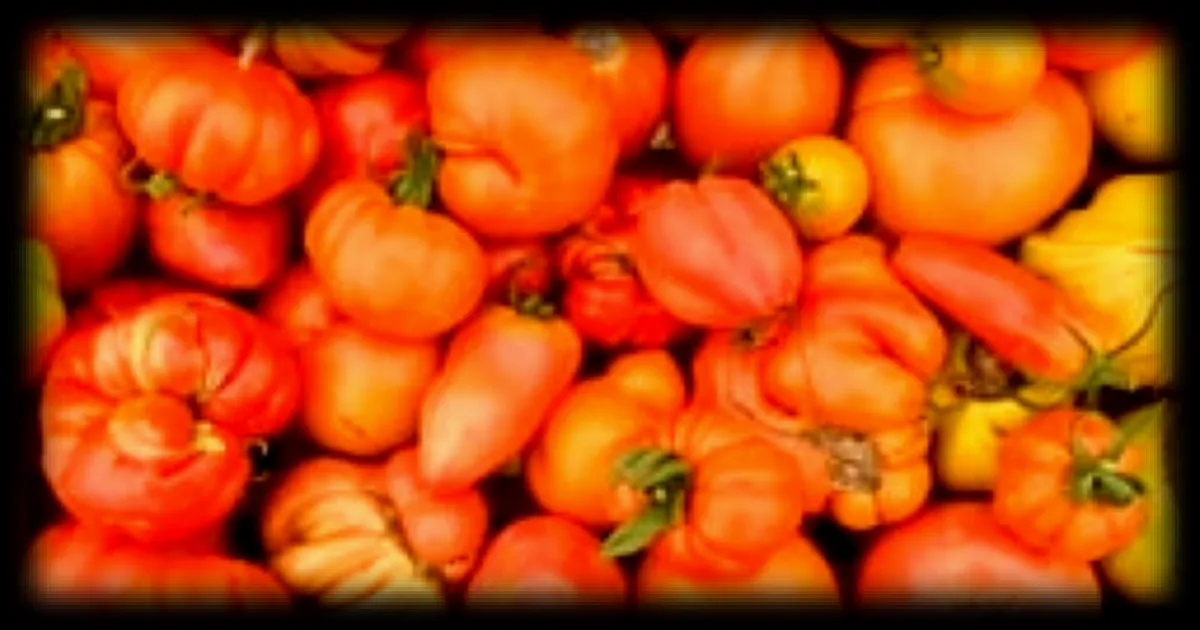 La technique Pomodoro, inventée il y a quarante ans, revient sur le devant de la scène pour booster la concentration