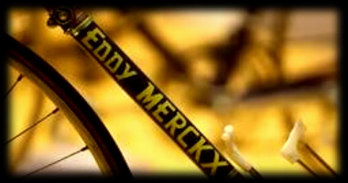 La tête de la stèle d'Eddy Merckx retrouvée après des heures de recherche