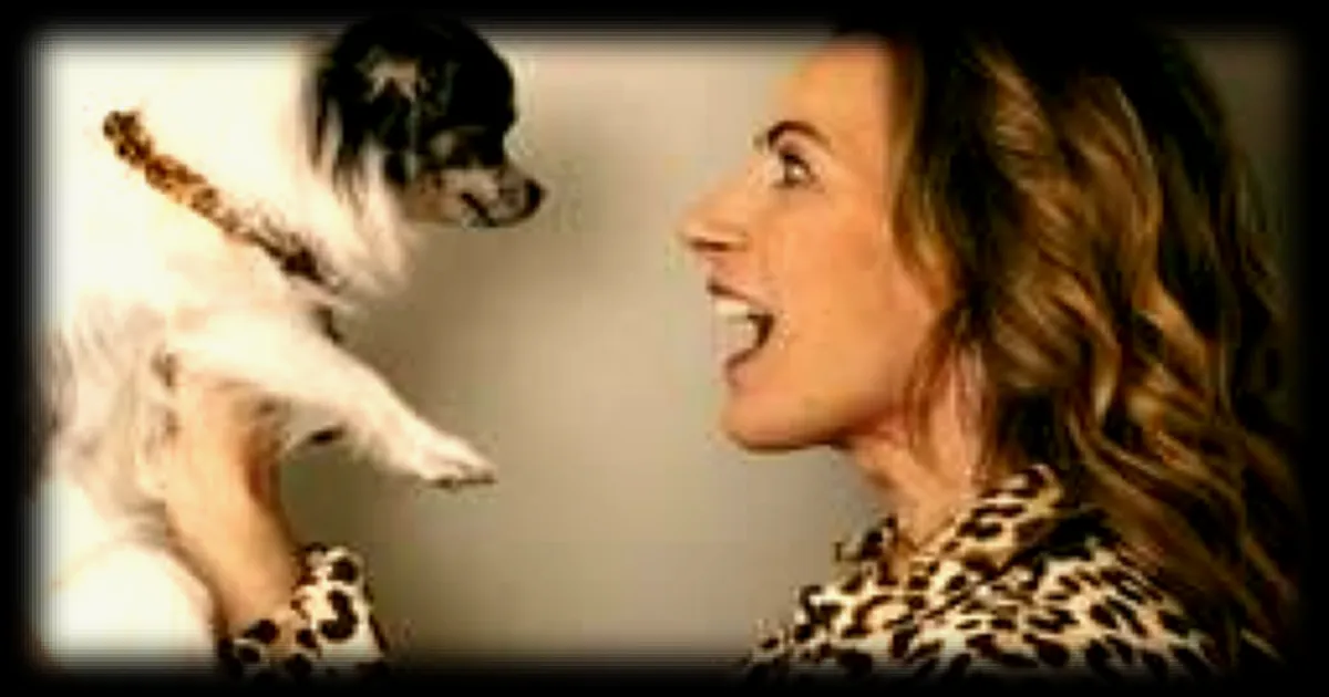 La vétérinaire Laetitia Barlerin partage ses connaissances sur les super pouvoirs des animaux de compagnie