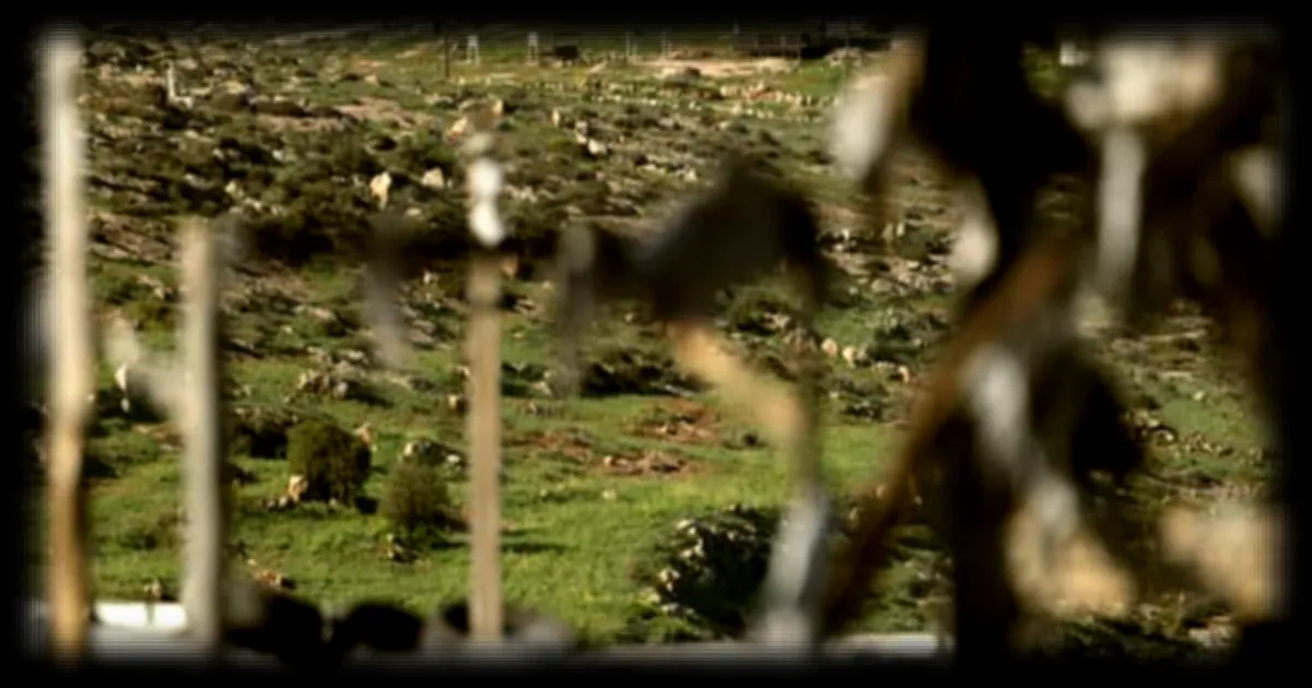 L'accélération de la colonisation israélienne en Cisjordanie suscite l'inquiétude internationale