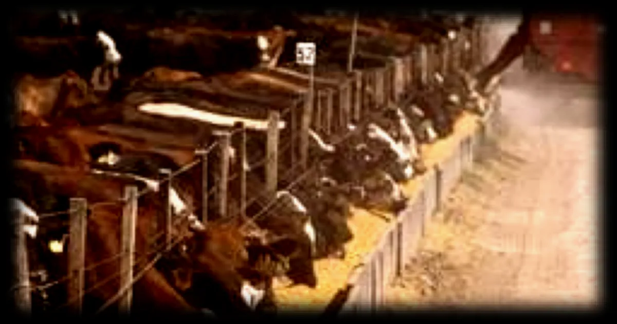 L'accord commercial controversé avec le Mercosur appliqué en mai malgré les inquiétudes