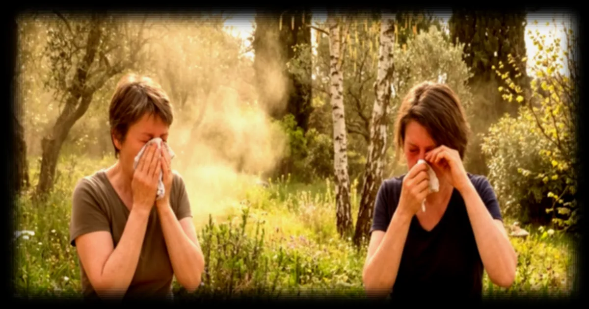 L'allergie au pollen : les arbres dans votre jardin qui pourraient être responsables