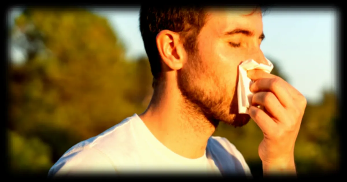 L'allergie au pollen : quand les antihistaminiques laissent place aux compléments alimentaires