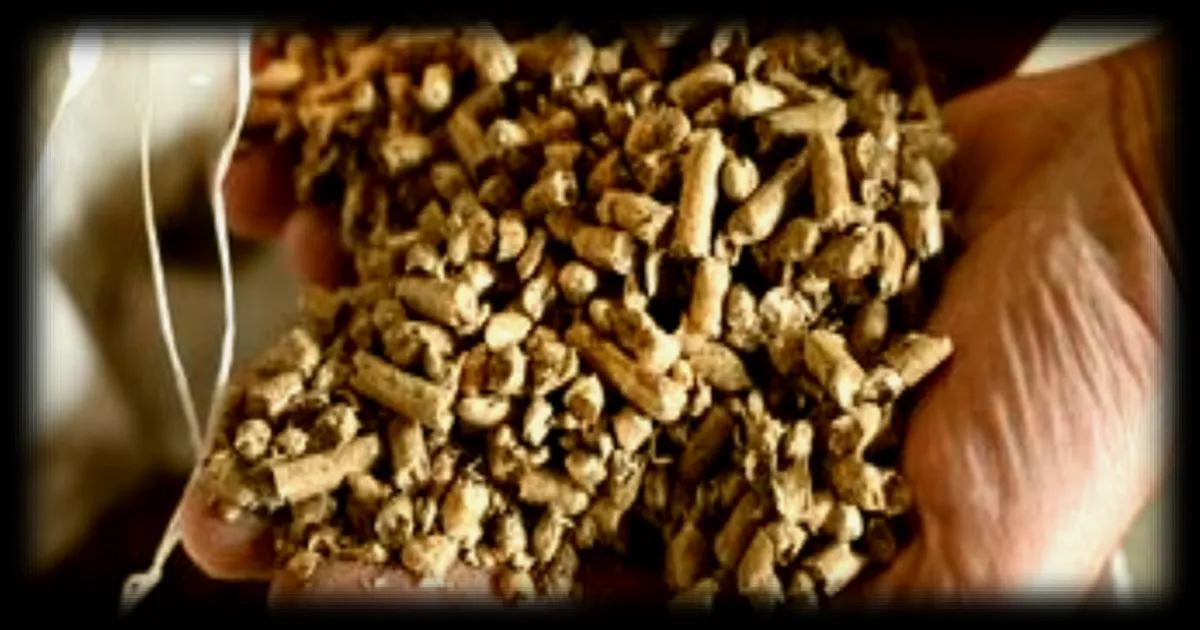 L'Anses alerte sur les dangers du stockage des pellets : un risque d'intoxication au monoxyde de carbone sous-estimé