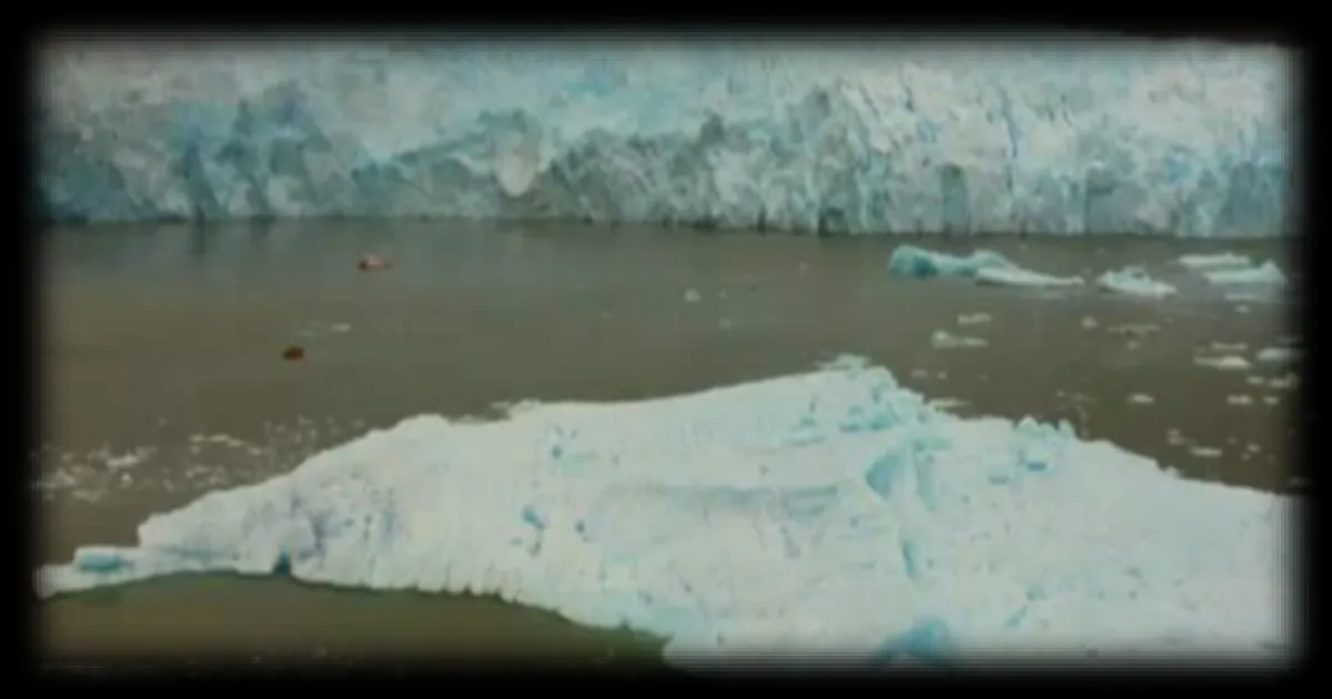 L'Antarctique face à une menace inattendue : une mouche originaire de l'Arctique